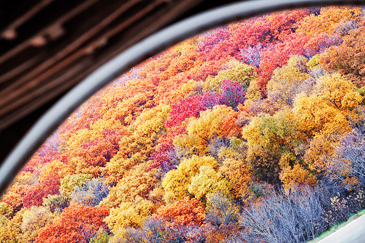 Color Me Fall-Like