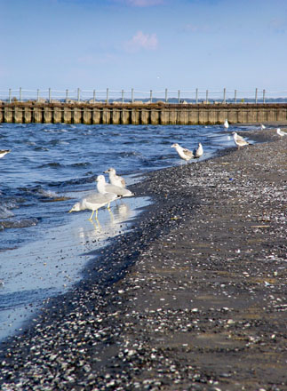 Lake Ontario