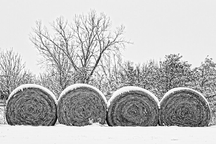 Hay, That's Snow