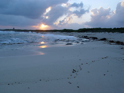 Cozumel Sunset