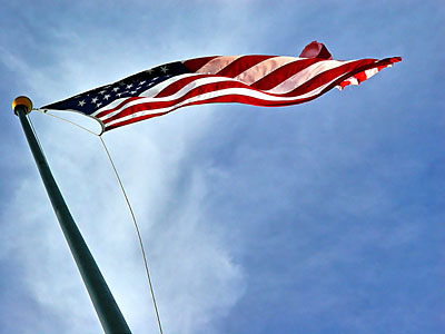 Waving in the Wind