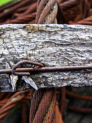 Wood & Cable