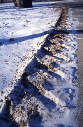 Snow Tracks