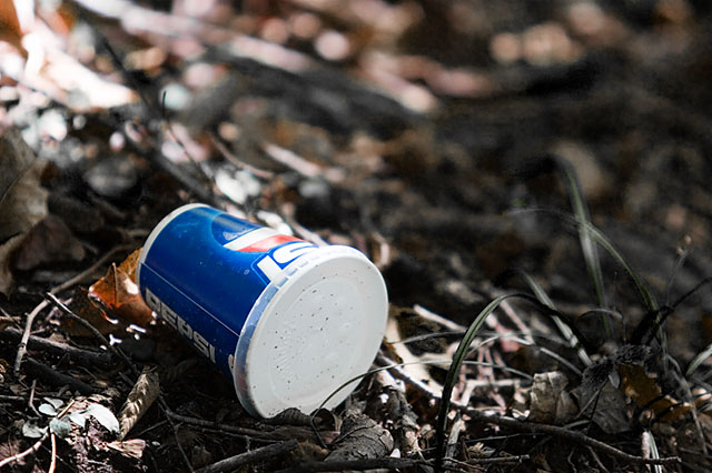 Pepsi in the Forrest