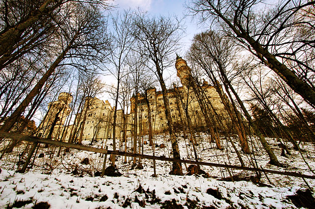 Neuschwanstein Through the Trees