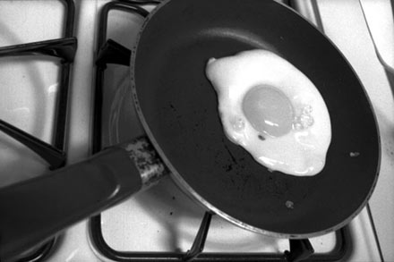 Frying Egg