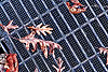 Leaf My Great Grate Leaves Alone!