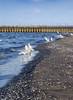 Lake Ontario