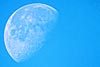 Moonday-Thursday