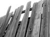 Wooden Fence