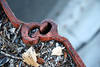 Dock Closeup