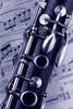 Clarinet Duotone #2